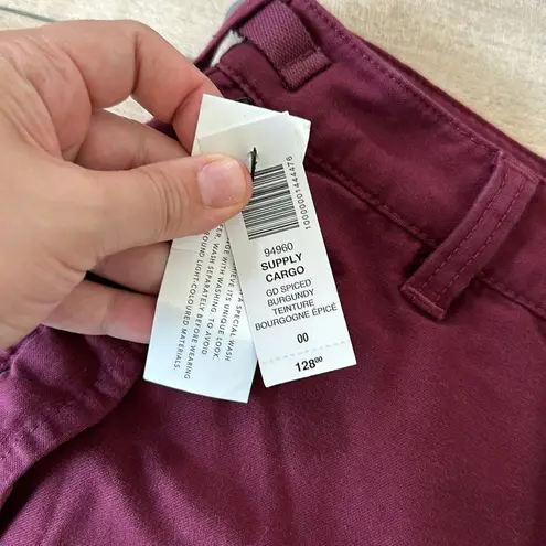 Aritzia NWT  TNA Supply Cargo Pant Spiced Burgundy Sz 00