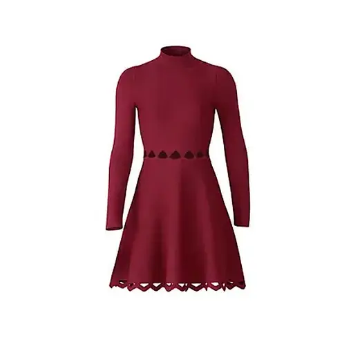 John + Jenn Maroon Burgundy Long Sleeve Fit & Flare Mini Dress Laser Cut Outs L
