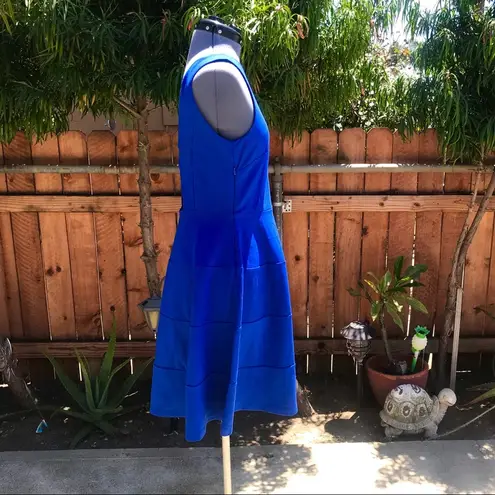 Felicity and Coco Ponte Fit & Flare Dress (3)