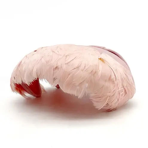Vintage 1950s Pink Feather Evening Hat Velvet Trim Cocktail Fascinator Small