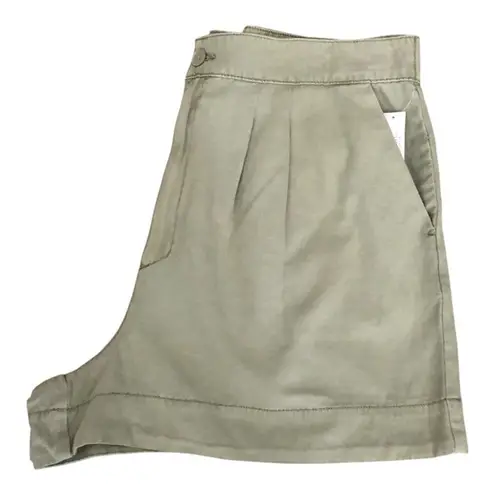 Joie  NWT Women Flattering Pleated High Rise Subtle A-line Shorts XL Faded Cactus thumbnail 3