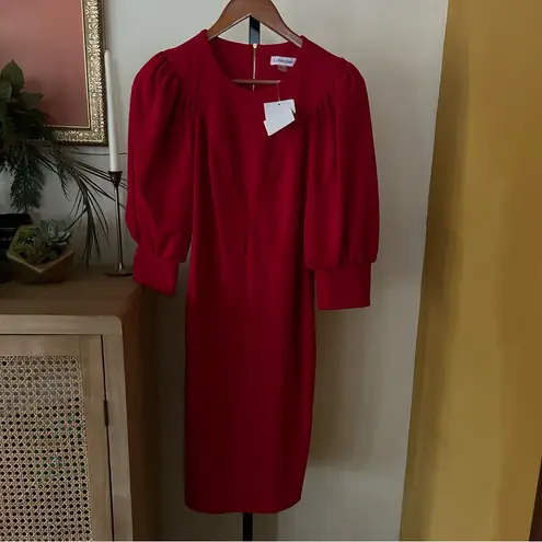 Calvin Klein  Puff Sleeve Sheath Dress 3/4 Long Sleeves Red NEW Size 2