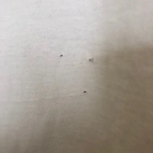 Vintage Colorful Fish Graphic T