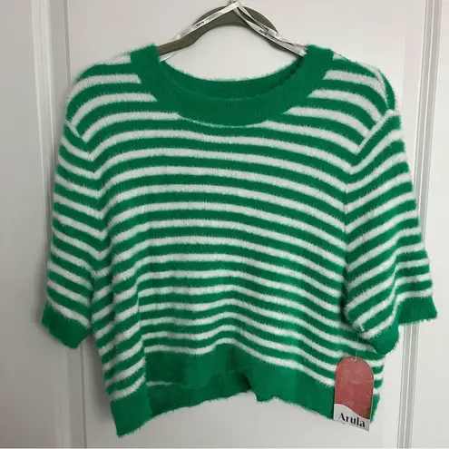 NEW Arula Green Striped Sweater Top Plus Size 1X NWT