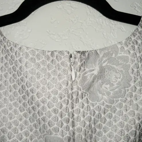 Cynthia Steffe New Feather Gray Roses Floral Dress Size 10