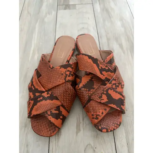 Top Shop Hop Cross Slide Snakeskin Sandals Orange 8