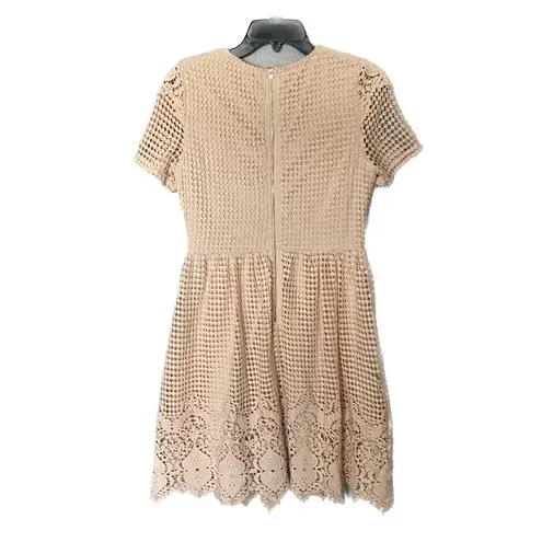 The Clothing Company Cream Lace Dress