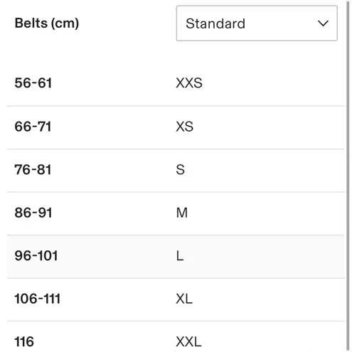 Isabel Marant Zaph silver Buckle Belt