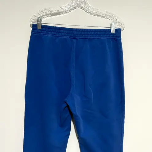 Banana Republic Factory Blue Cozy Comfy Sweatpants