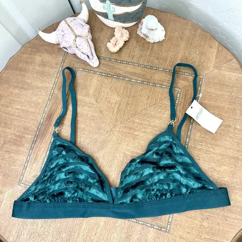 Aerie  NWT Deep Forest Green Velvet Stripe Triangle Bralette Medium