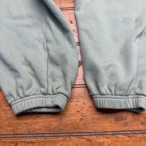 American Eagle Outfitters Light Green Embroidered Floral Sweatpants Women's med