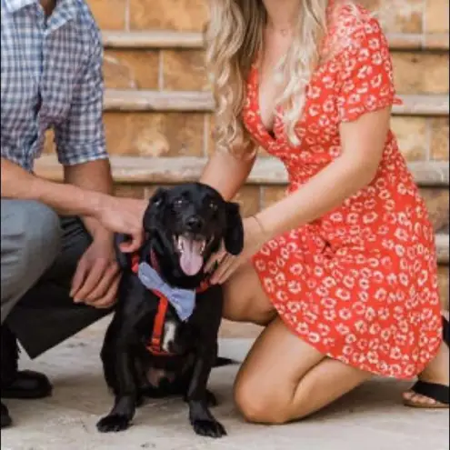 ✨ Garden Explorer Red Floral Print Mini Dress✨ Red Size XS