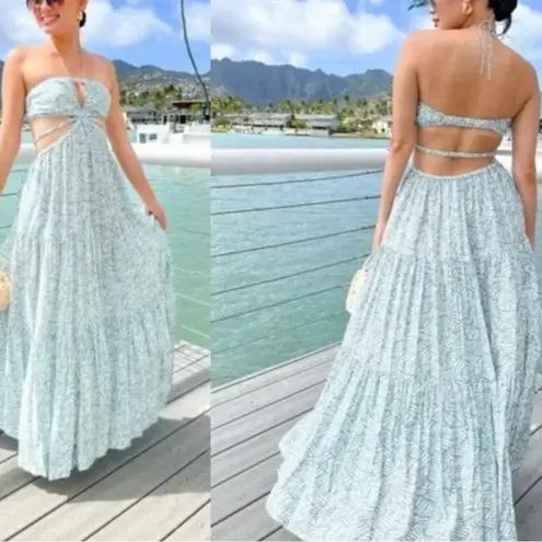 SIMKHAI Laurel Palm Leaf Maxi in Suft Print Size xs Green