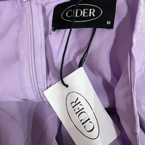Cider NWT Fairy Lilac Sweetheart Costume Mini Dress Sz M