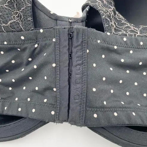 Cacique Lightly Lined Balconette Bra Women's Size 42F Black Polka Dot Underwire