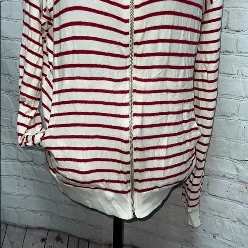 Hye Park and Lune Soft & Comfy Zippered Hooded Sweatshirt