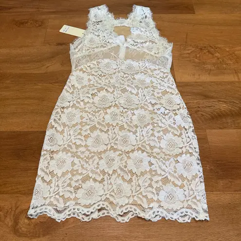 The Clothing Company Size Medium Off White Nude Lace Mini Dress New