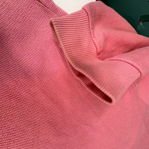 Vtg Disney Store Winnie the Pooh Eeyore Pink V