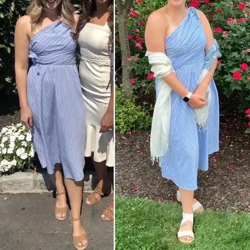 ALC Frank ALC Blue Striped Cabrera One Shoulder Midi A Line Knee Length Dress US 0