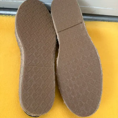 Tommy Bahama  Navy and Cream Espadrilles