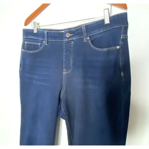 Soft Surroundings Blue Denim Stretchy Skinny Jeans Casual Everyday Comfy Sz PL