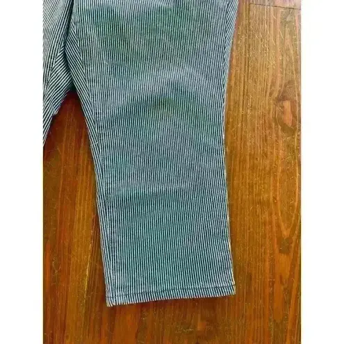 Cato's Denim Railroad Striped High Rise Skinny Crop Jeans,16W Blue