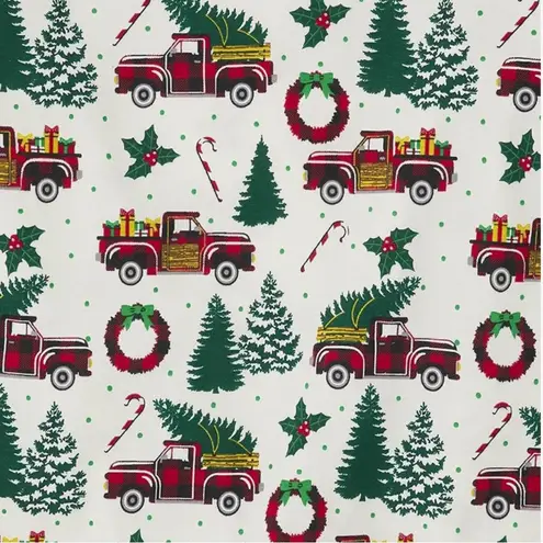 The Children’s Place Family Matching Christmas/Holiday Set. Size XL Adult Red