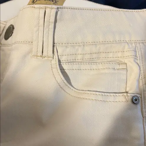 Democracy Ab"solution Colored Ankle Skimmer Pants Sz 10 Cream Slimming Tummy Tuck Comfy