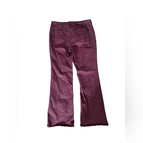 Pilcro Anthropologie Low-Rise Utility Demilune Pants in plum 29