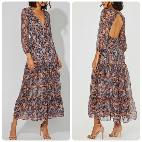 MISA Los Angeles Anahita Maxi Dress, Multicolor, Medium