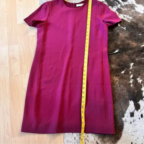 Babaton ARITZIA Patricio Short Sleeve Sheath Mini Dress in Burgundy Size 2