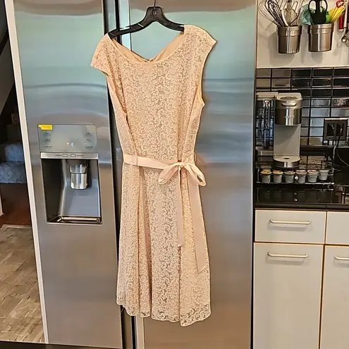 Tahari 💕 by ASL💕 Glitter Lace Trim Metallic Ribbon Belted Dress Light Pink 18W