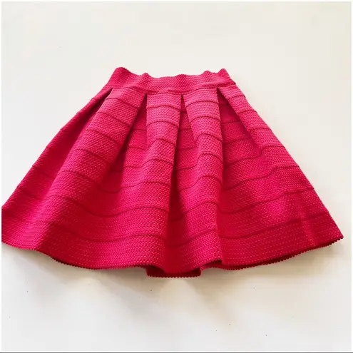 EXPRESS Textured Pleated Short Skirt