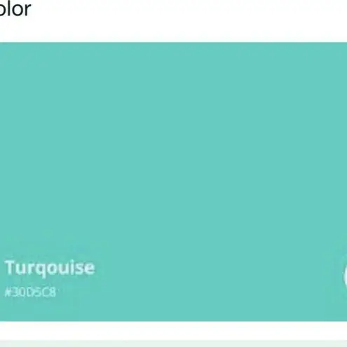 Craft Cycling Full Zip Vent Air Wind Jacket Women’s Sz M Turquoise Blue *flaws Size M