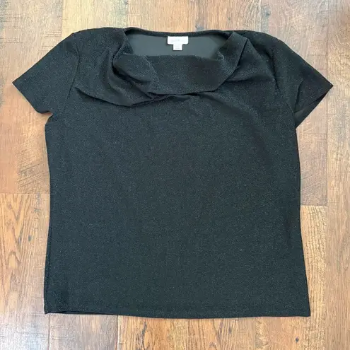 Jaclyn Smith COLLECTION, silver glitter, black short sleeve top, plus size XXL