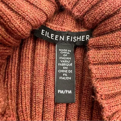 Eileen Fisher  Merino Jersey Turtleneck Sweater Regenerative wool in Spice thumbnail 4