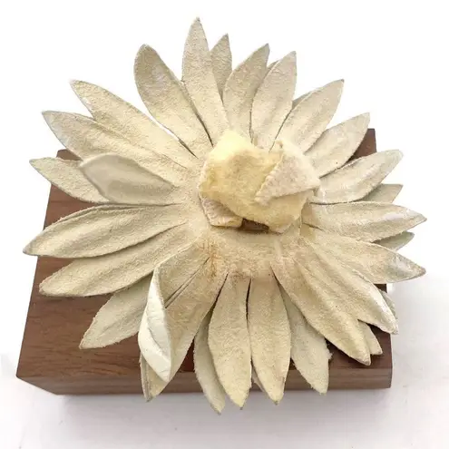 Vintage Shoe Clips Buckles Pastel Faux Pearl Frosted Floral Daisy 1940s 1950s Pink