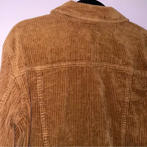 PacSun  M Corduroy Jacket Brown Ribbed Button Collar thumbnail 7