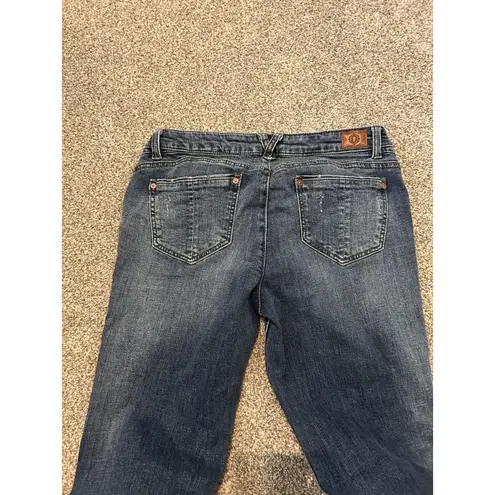 Democracy Jeans Flex-ellent Floral Embroidered Cropped Ankle Women's Sz 6 30x29