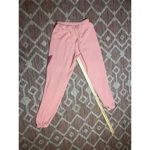 Aviator Nation Preppy  Petal Pink Sweatpants with Purple Fade Lightening Bolt