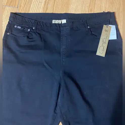 Diane Gilman 🏷️🏷️NWT Women’s plus 2x DG2 Virtual Stretch black Pull-On Denim