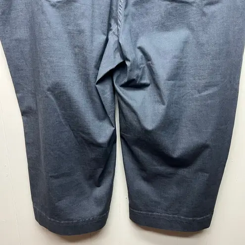 Terra & Sky  Pull On Crop Gray Women's High Rise Pants Size 3X