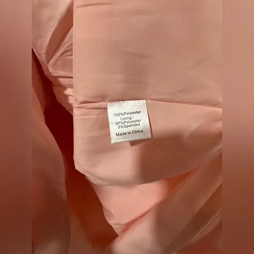 Tuckernuck Bellini Fil Coupe Palmerston Dress S NWT Pink Ruffle Party