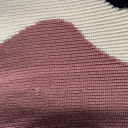 Peter Som x RTR Pink and Blue Colorblock Sweater