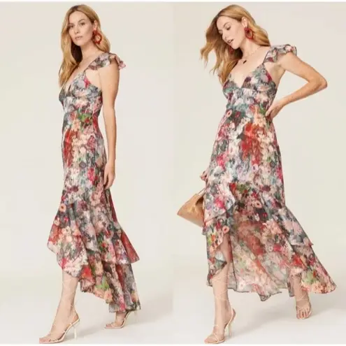 Hutch Coley Floral Maxi Dress Gown Multicolor Size 4