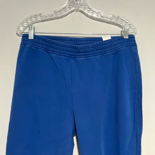 Banana Republic Factory Blue Cozy Comfy Sweatpants