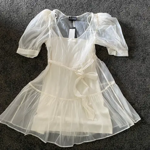 We Wore What Danielle Bernstein Puff Sleeve sheer dress