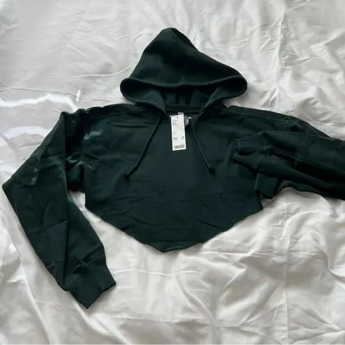 Urban Outfitters  crop hoodie