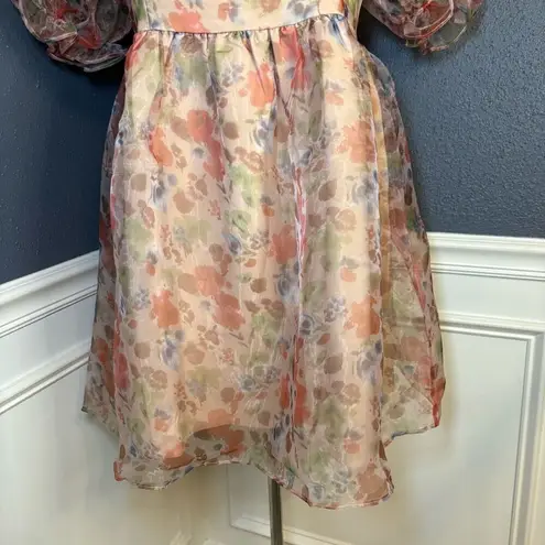 Endless Rose Puff Sleeve Mini Dress