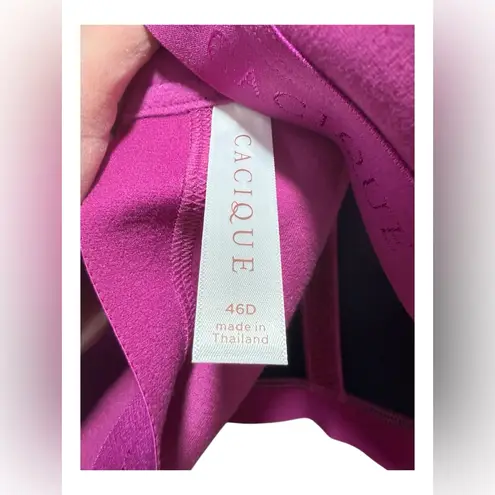 Cacique Cotton Collection Lightly Lined No-Wire Bra 46D – NWT Purple Lane Bryant